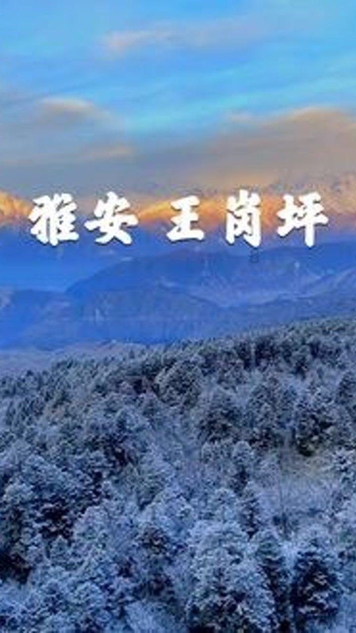 赏金猎人团